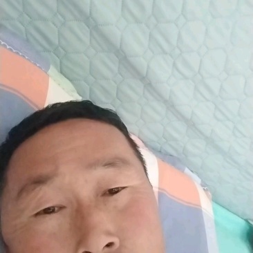 千禧圣女果30g常年收售大量批发常年有货质量好价格低
