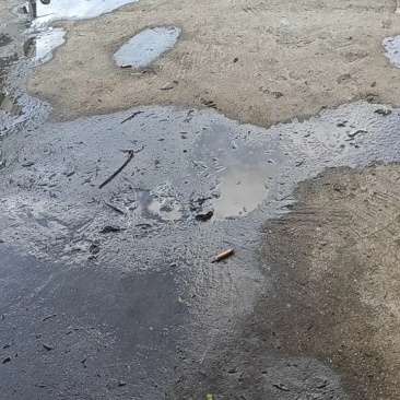 贵州何首乌
