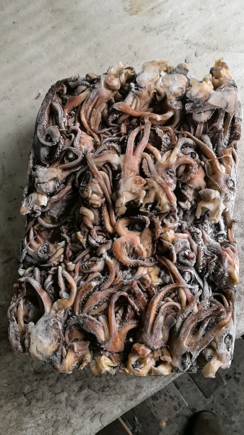精品水产品北太鱿鱼头，规格齐全物美价廉量足，欢迎电话联系