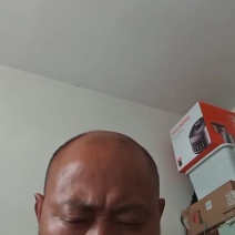 肥西皖足丰早稻优质大米
