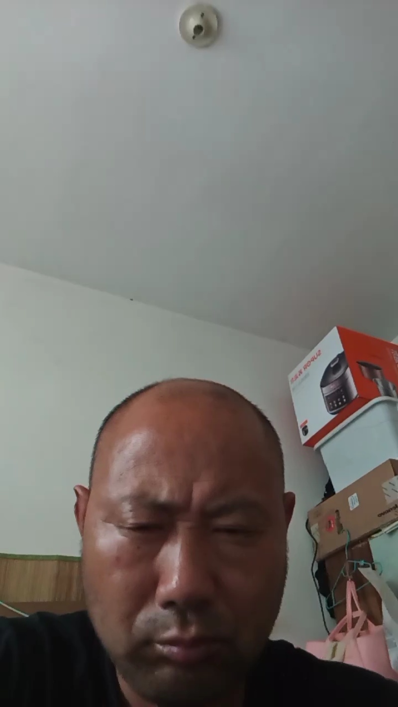 皖西大白鹅淘汰老鹅