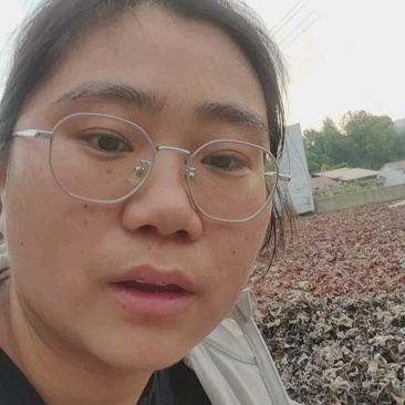 毛木耳中片
