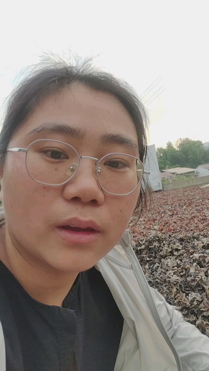 毛木耳中片