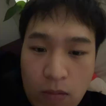 新疆灰枣