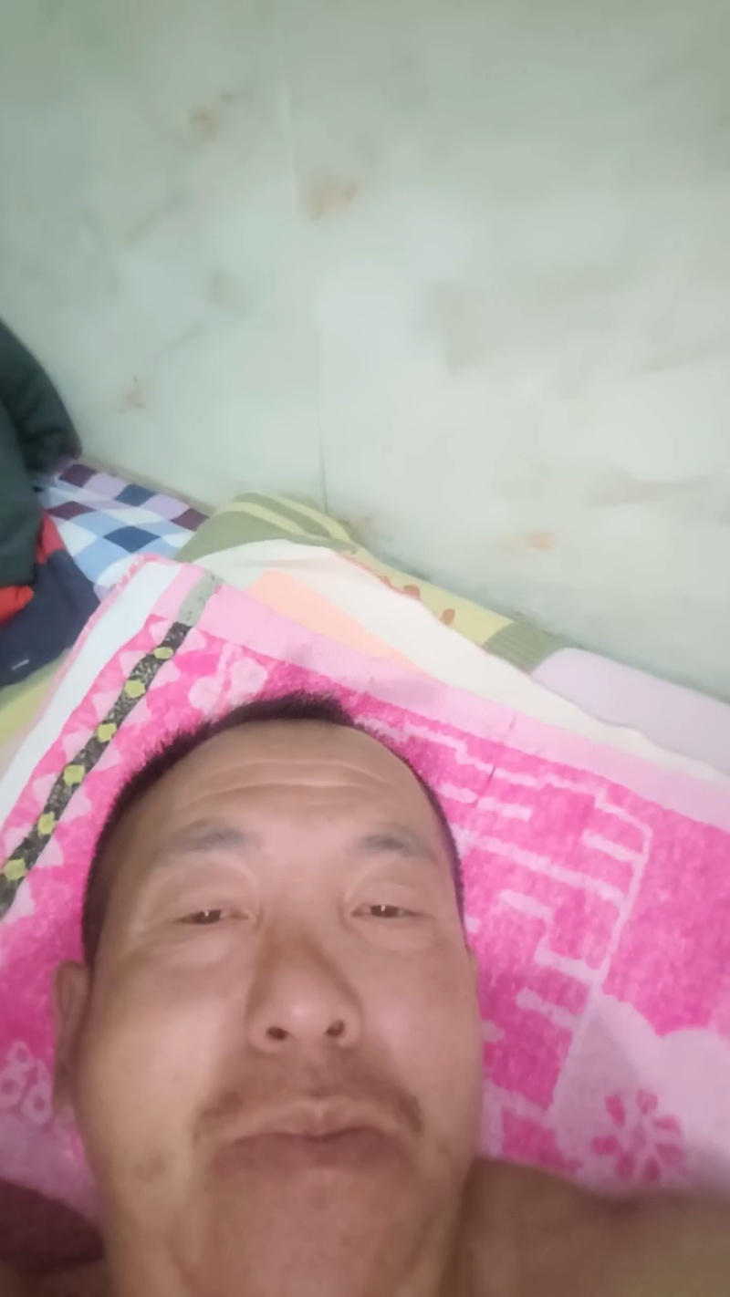 油桃，黄肉，白肉都有