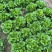 常年有货产地直发一手货源保质保量