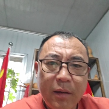 优质杂交苦瓜苗质量保证欢迎采购基地直发