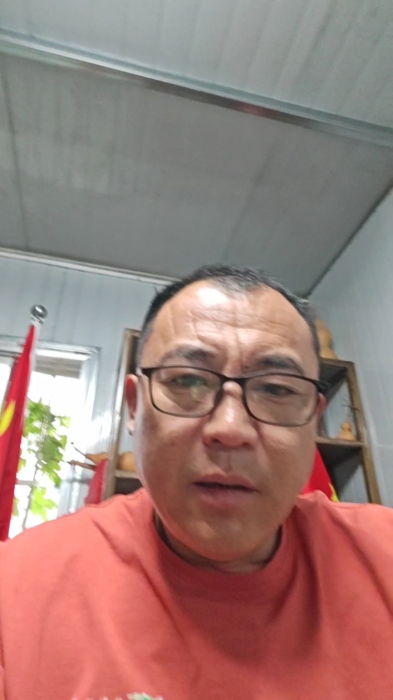 优质杂交苦瓜苗质量保证欢迎采购基地直发