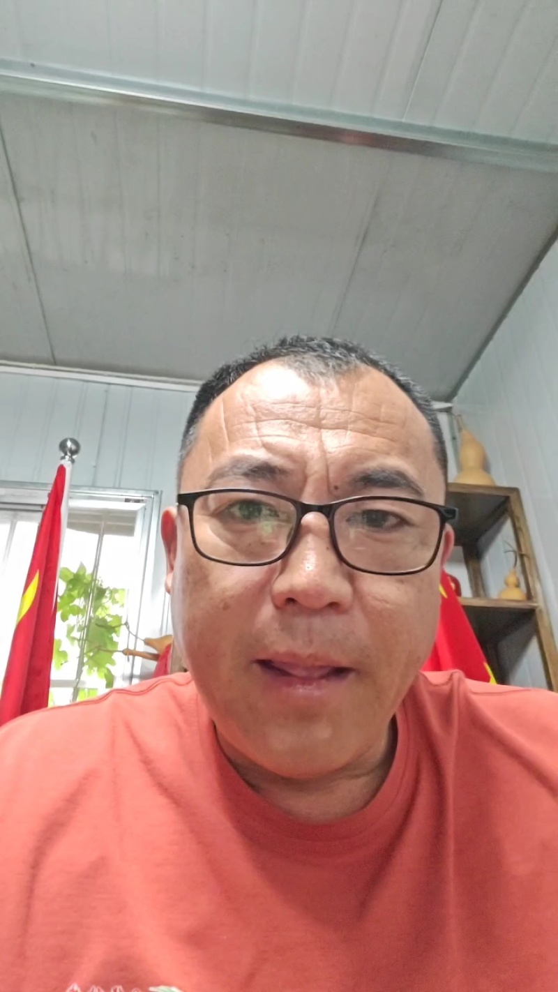 优质甘蓝苗基地直发一手货源抗病虫害对接全国