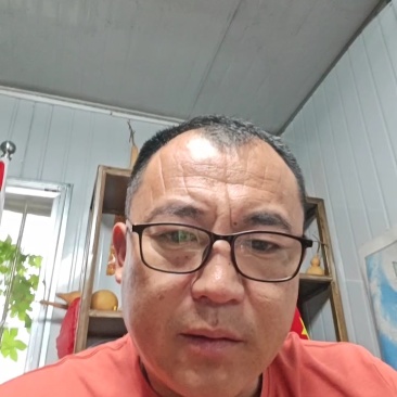 冬瓜苗蔬菜苗产量高口感好价格实惠成活率高欢迎联系
