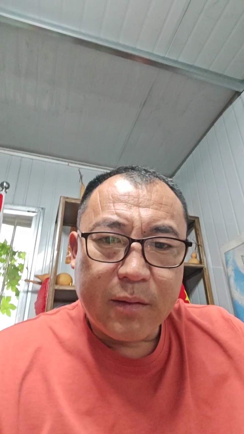 冬瓜苗蔬菜苗产量高口感好价格实惠成活率高欢迎联系
