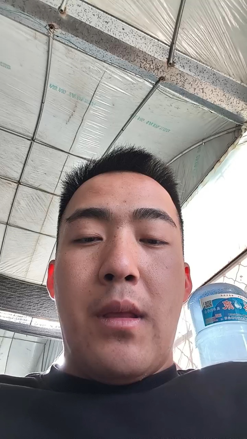 精品千禧圣女果大量上市品质保证诚信经营对接商超批发商
