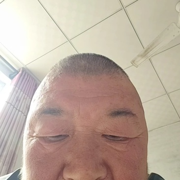 凯特杏，大量凯特杏上市了，个大饱满，产地直供，需要的老板