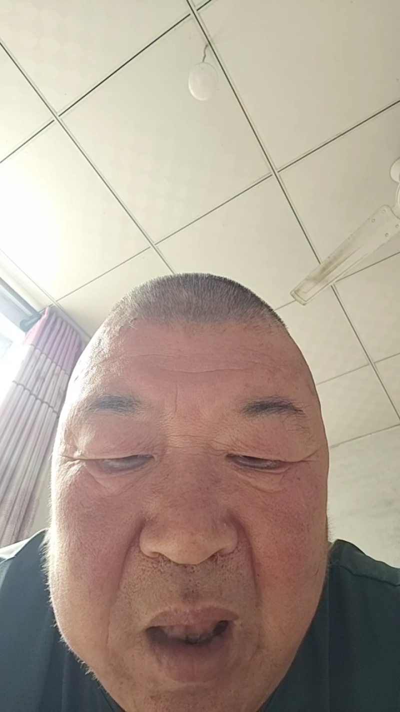 凯特杏，大量凯特杏上市了，个大饱满，产地直供，需要的老板