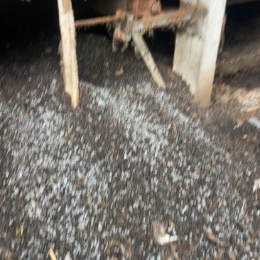 自然升温风干颗粒羊粪