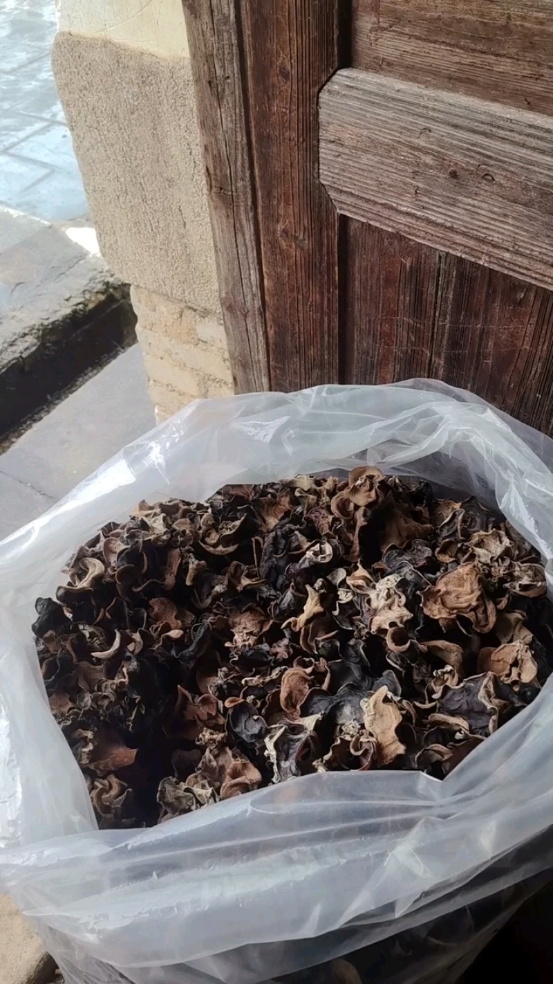 江西赣州特产原木毛木耳产地直发量大价优欢迎随时看货