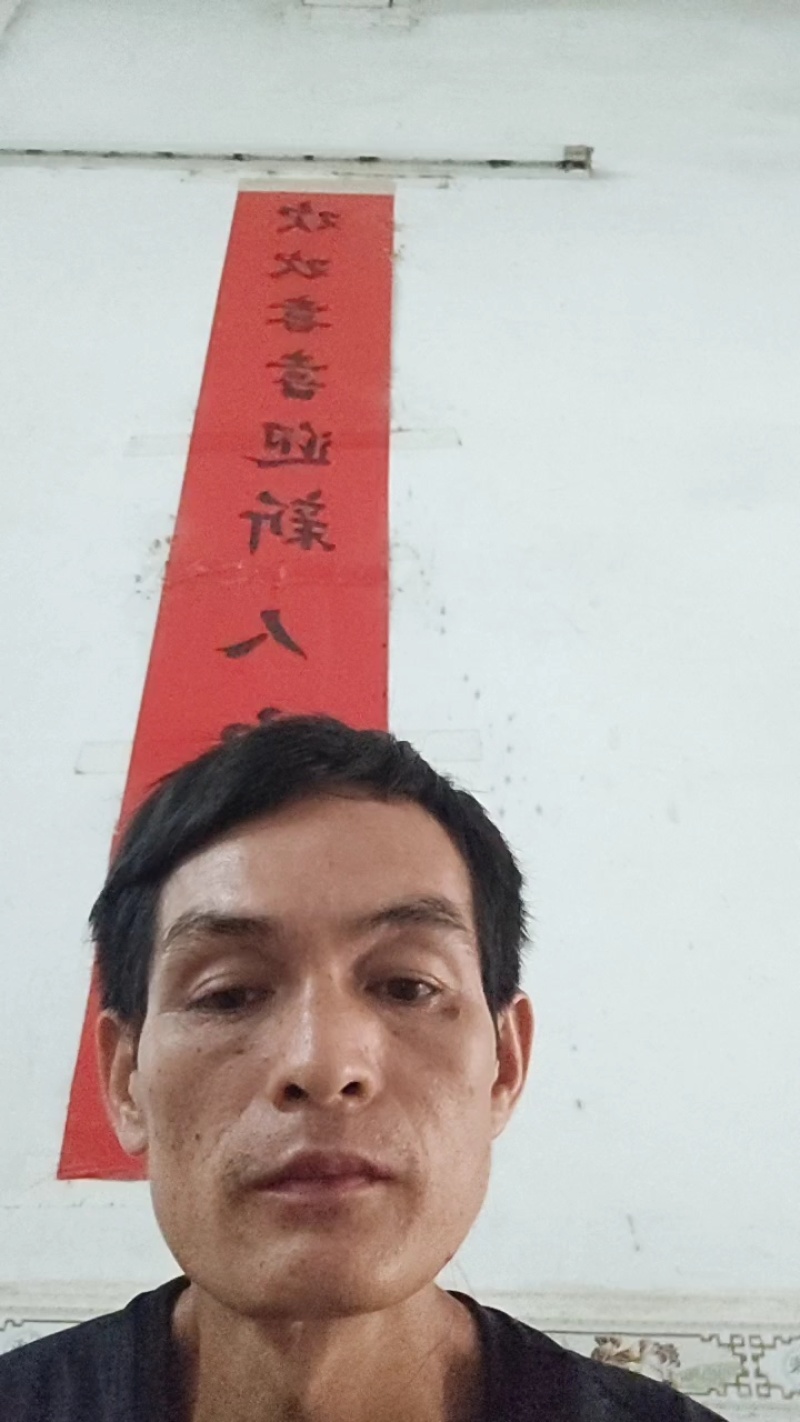花果同树夏橙诚信合作货源充足量大从优大量接单