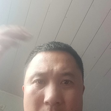 潍坊青州绿宝甜瓜，大量现货速发，欢迎老板选购