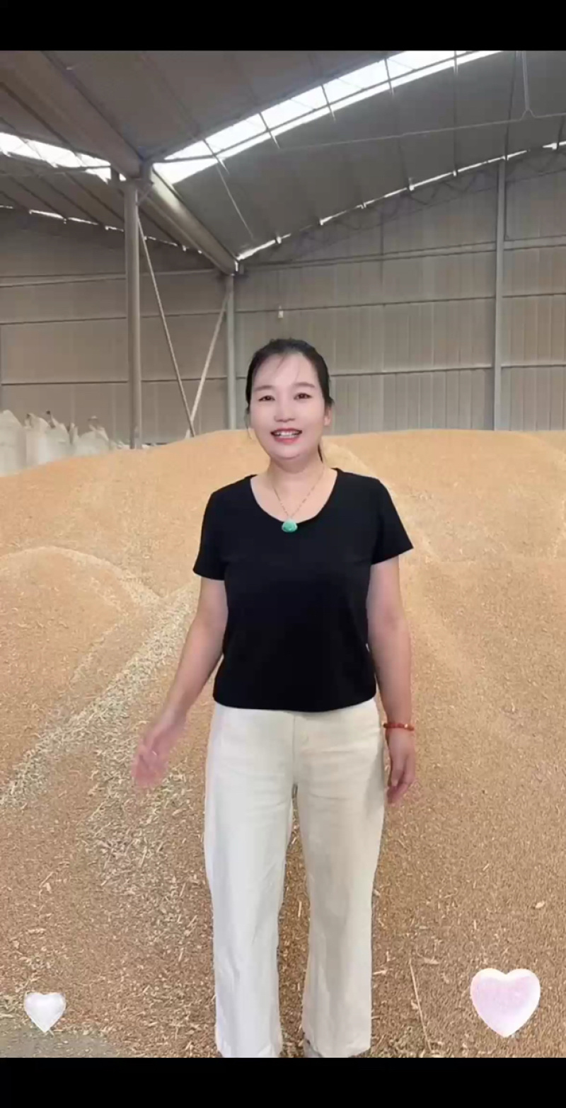 石磨面粉专用小麦，豫北小麦，直接打粉，无任何杂质