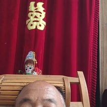 （精品特小凤）蒲城特小凤/吊兰西瓜/无籽吊瓜/小糖丸供应