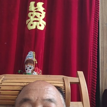 （精品特小凤）蒲城特小凤/吊兰西瓜/无籽吊瓜/小糖丸供应