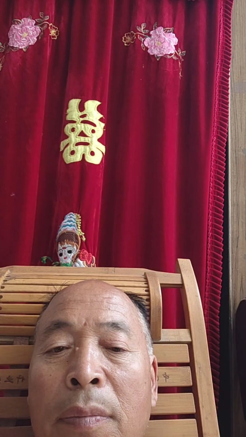（精品特小凤）蒲城特小凤/吊兰西瓜/无籽吊瓜/小糖丸供应