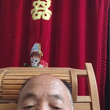 （精品特小凤）蒲城特小凤/吊兰西瓜/无籽吊瓜/小糖丸供应