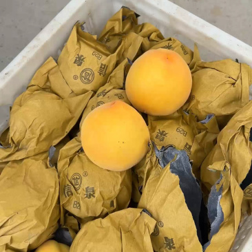 毛桃，蟠桃，黄桃，优品质量，保质保量全国发货