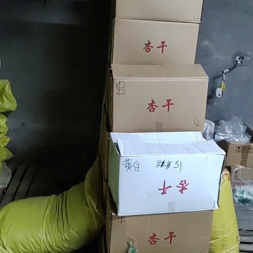 蔚县土特产一手货源优质串红大杏干3厘米左右