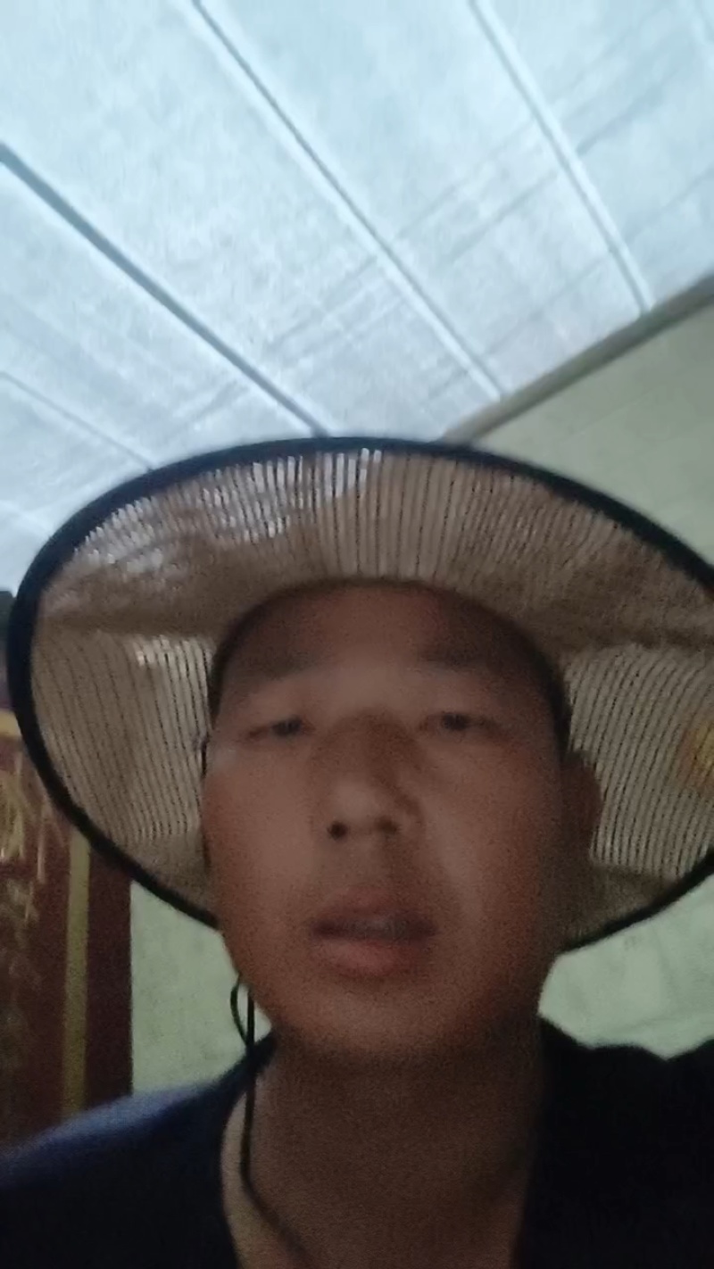 邯郸精品大叶波菜保质保量大量有货，欢迎订购