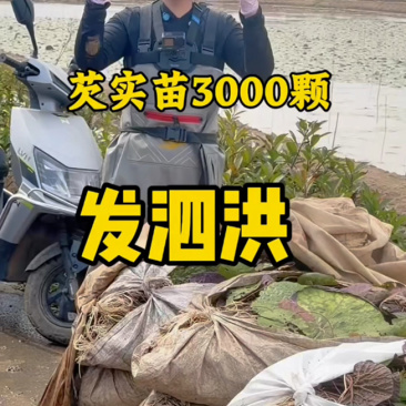 单亲家庭孩子早当家