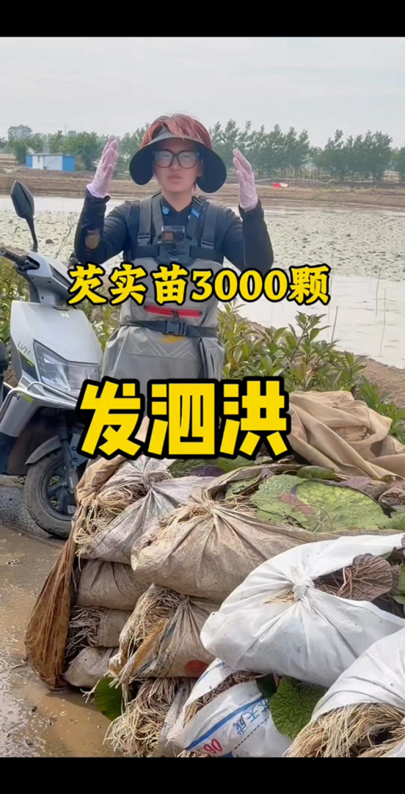 单亲家庭孩子早当家