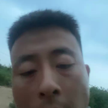 红薯淀粉厂家直销，大吨位供货，规格齐全，量大从优代发全国