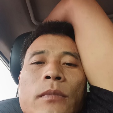 山东菏泽水果黄瓜，量大从优，欢迎老板视频看货。
