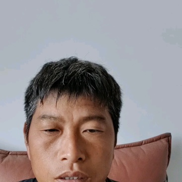 【推荐】河南商丘夏黑葡萄大量接单品质保证欢迎来电