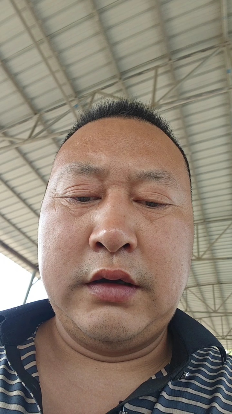 《精品》八宝丹/五月脆/红宝石/味碲李子大量供应产地直发