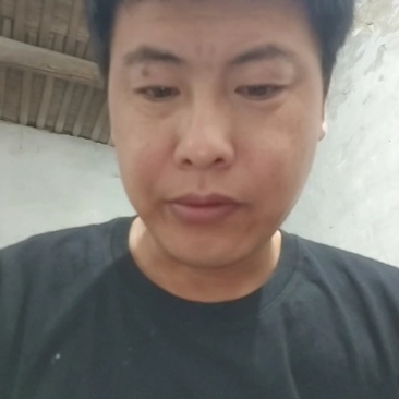 威县巨峰葡萄上市中，粒大糖度高，价格低，欢迎新老客采购