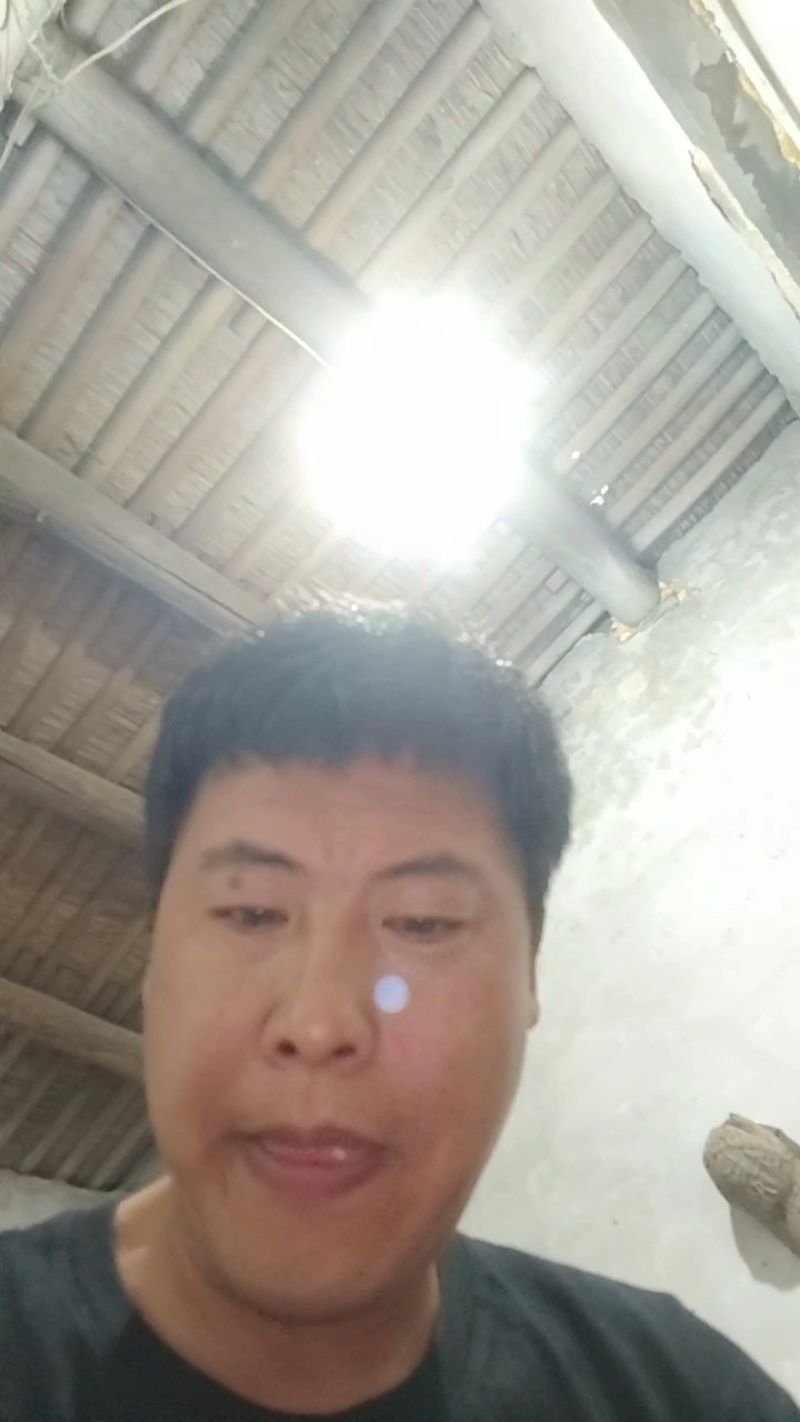 因葡萄价格低，葡萄树免费送，需要的联系！不种了…大量有