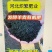 炽繁发酵纯羊粪微生物发酵有机肥畜禽粪便瓜果蔬菜肥