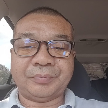 高产优质云木香种苗，根系发达，植株健壮，病虫害少。