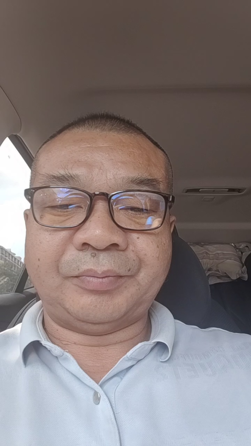 高产优质云木香种苗，根系发达，植株健壮，病虫害少。