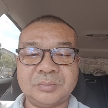 精品驯化四叶参种苗大量现货供应好种好管周期短见效快