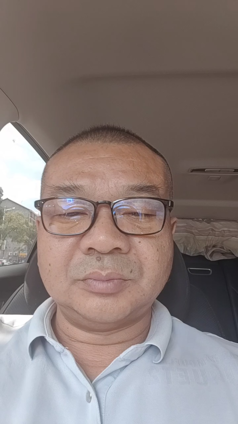 精品驯化四叶参种苗大量现货供应好种好管周期短见效快