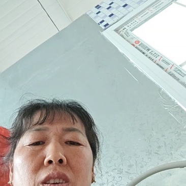 山坡银白杏