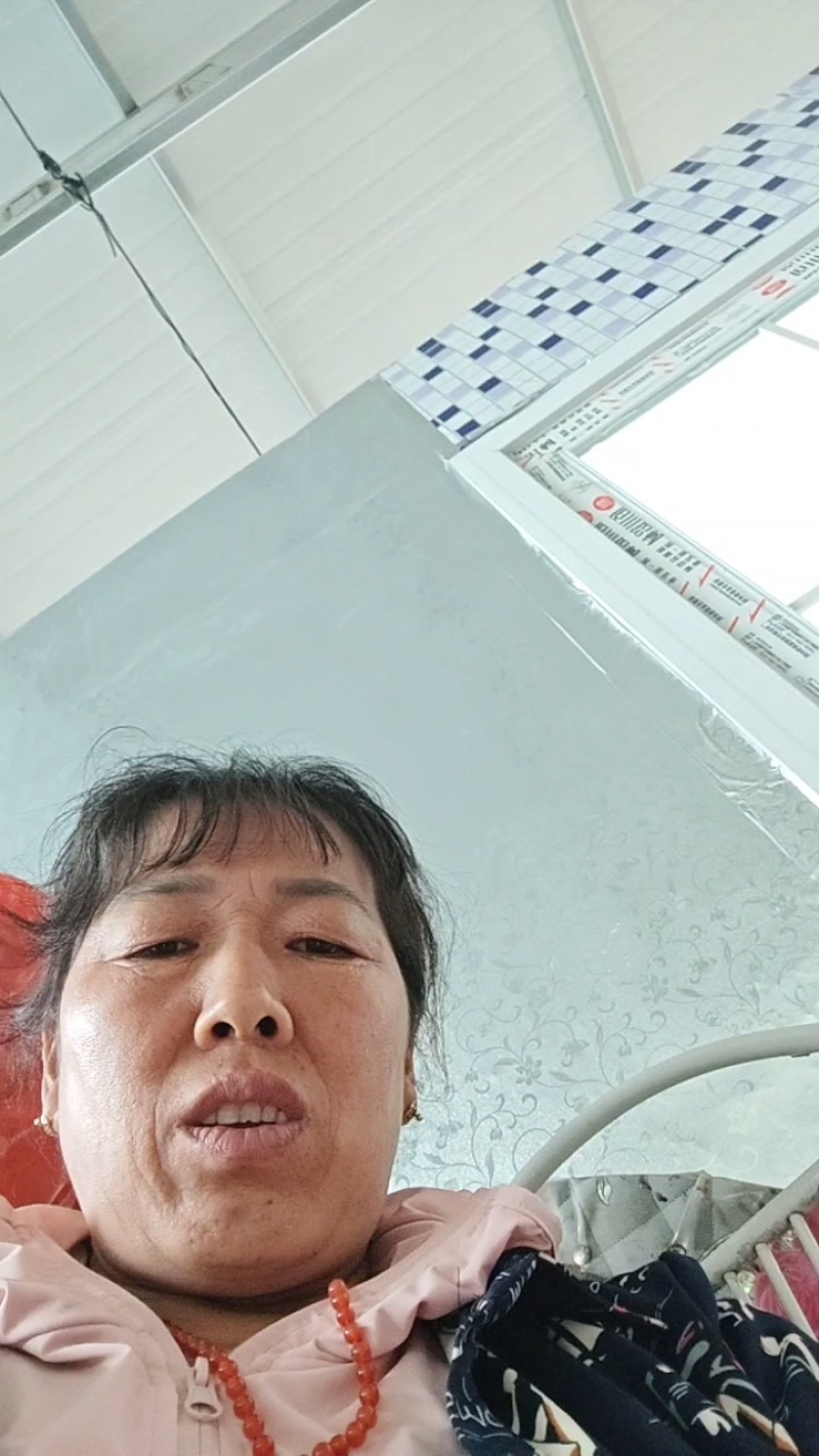 山坡银白杏