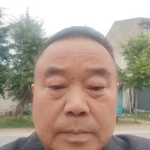 美都西瓜无籽美都麒麟西瓜货源稳定代收代发全国