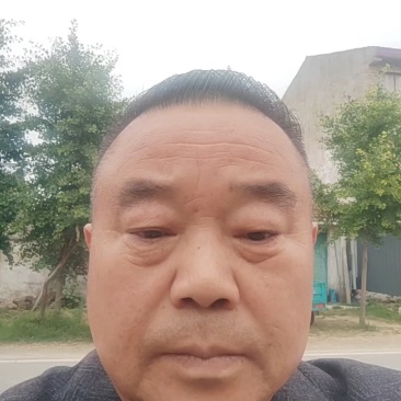 美都西瓜无籽美都麒麟西瓜货源稳定代收代发全国