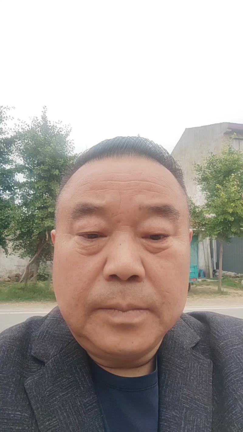 美都西瓜无籽美都麒麟西瓜货源稳定代收代发全国