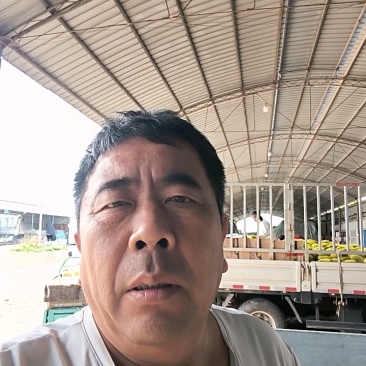 山东莘县的羊角蜜，博洋甜瓜大量上市对接全国各大批发市场