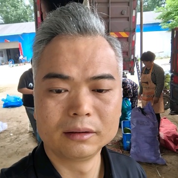 河南西华黄瓜产地直供整车可发支持视频看货